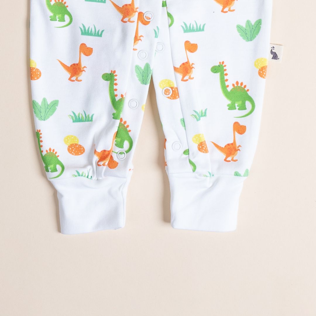 Dino and Eggs - Full Button Onesie