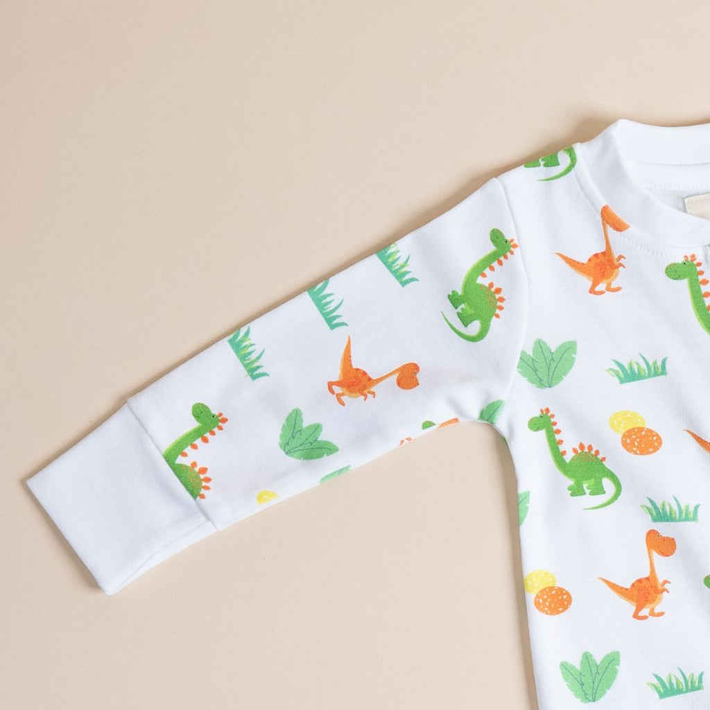 Dino and Eggs - Full Button Onesie