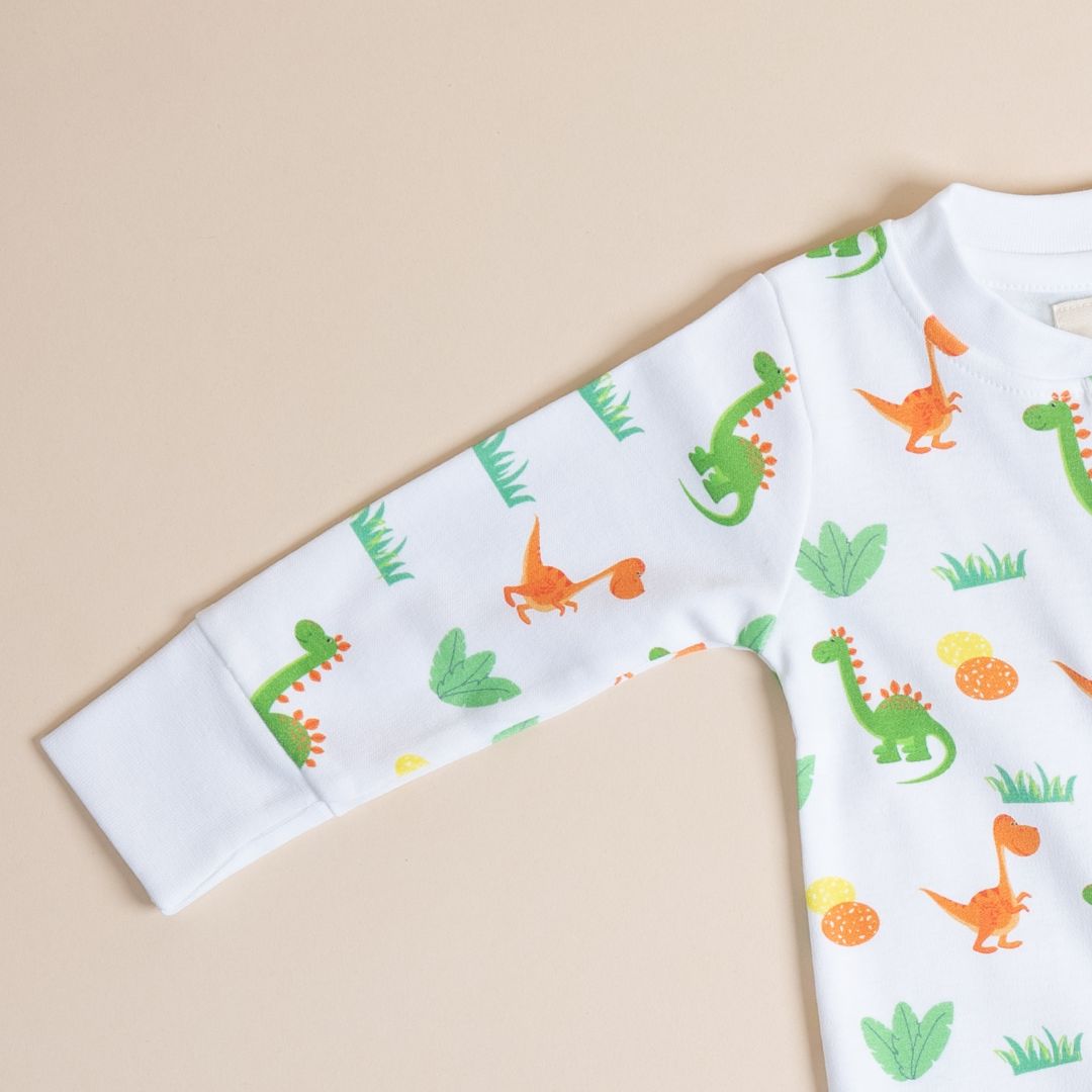 Dino and Eggs - Full Button Onesie