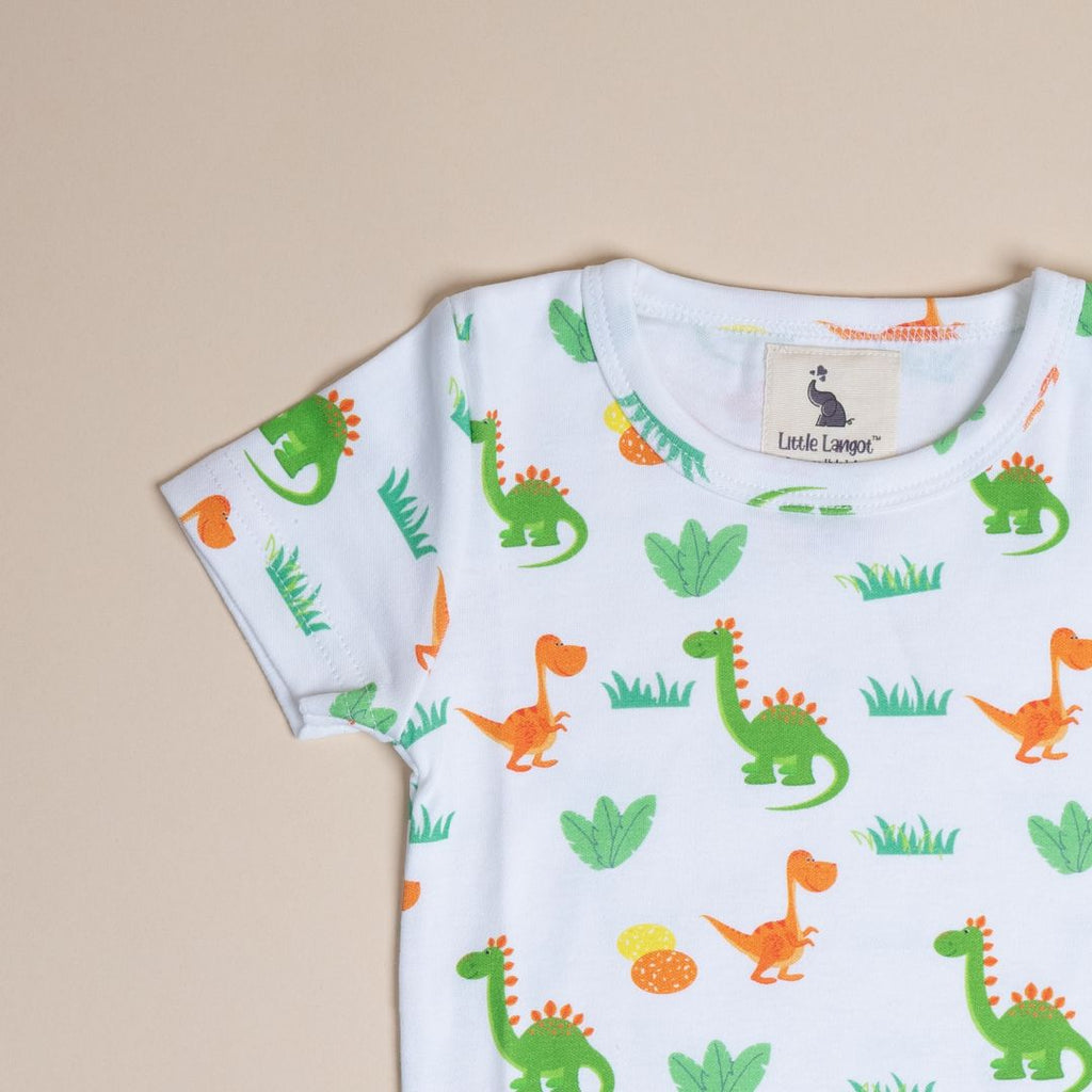 Dino and Eggs - T-Shirt and Shorts