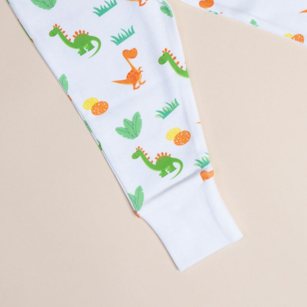 Dino and Eggs - Full sleeves Top and Joggers