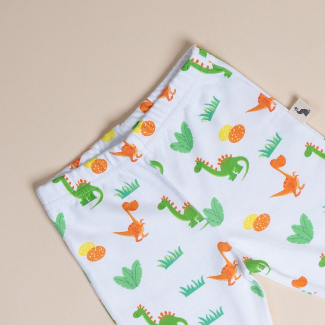 Dino and Eggs - Full sleeves Top and Joggers