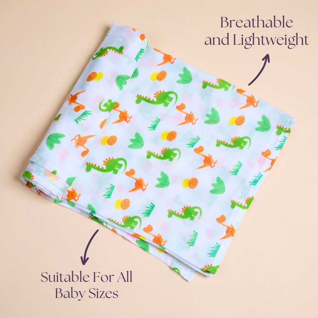 Dino and Eggs - Swaddle Cloth